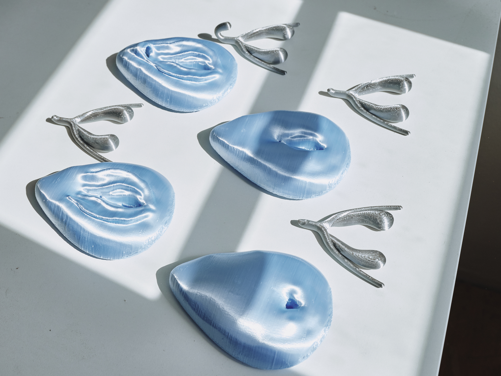 female genital mutilation 3d printed model