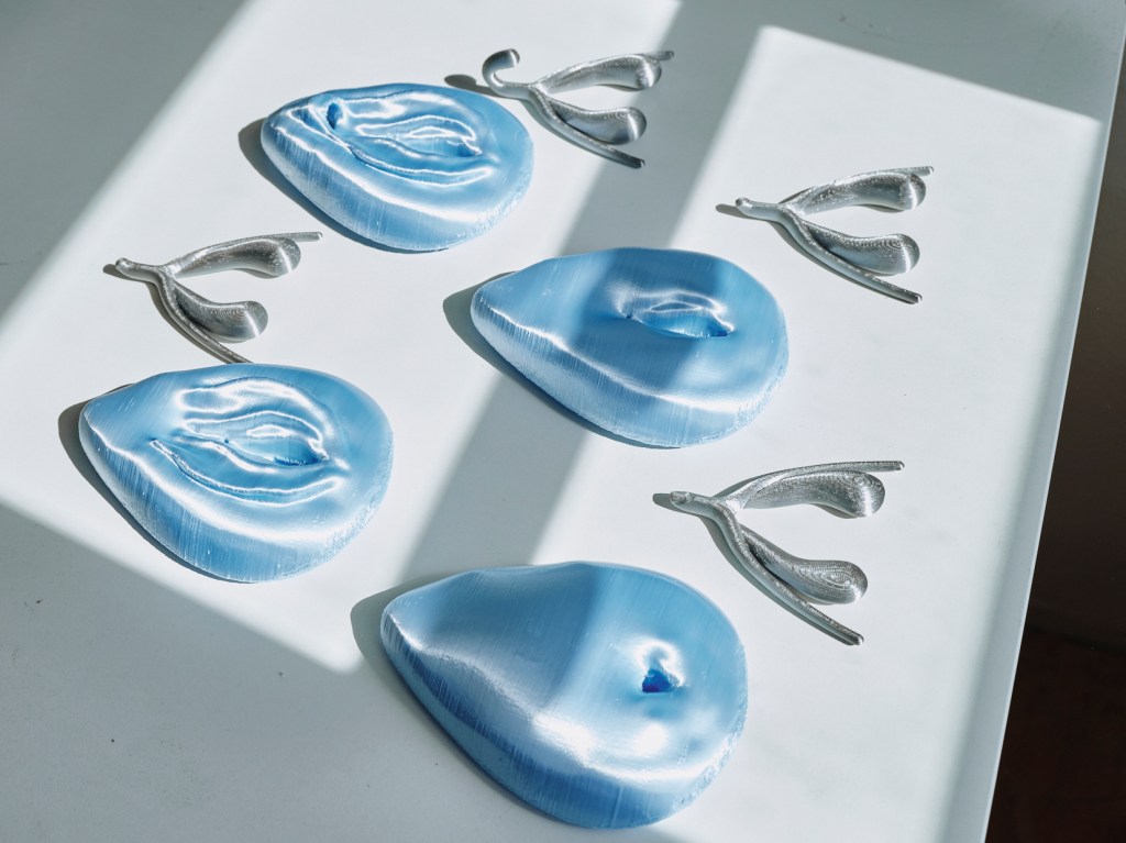 female genital mutilation 3d printed model