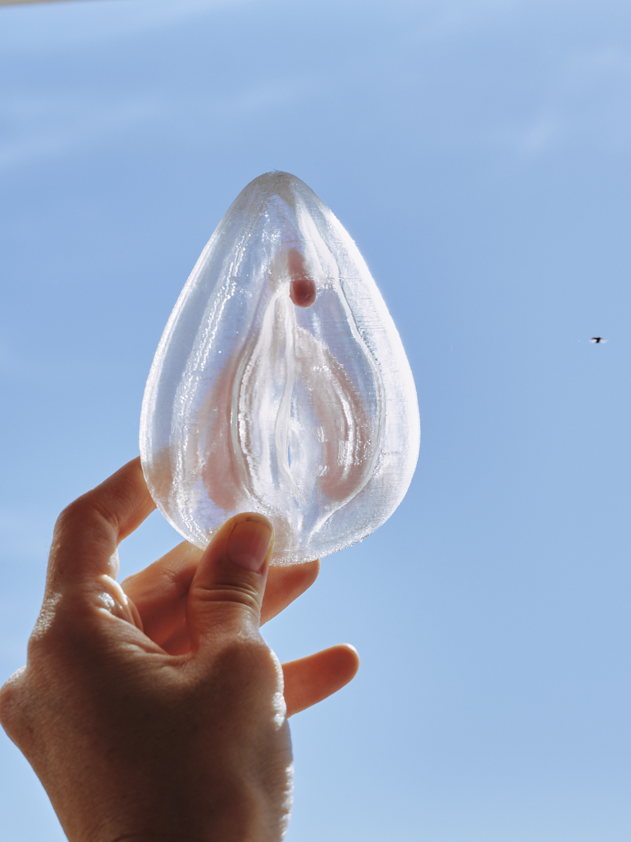 3d printed vulva and clitoris