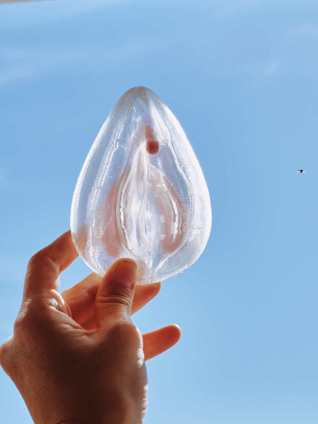 3d printed vulva and clitoris